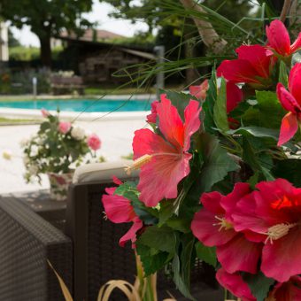 bed & breakfast marano vicentino vicenza parco